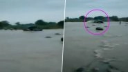 Watch Video: Tractor Swept Away by Water While Trying to Cross Flooded Bridge in Mandsaur