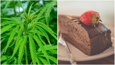 Metal Detectorists Unknowingly Eats Cannabis-laced Cakes Offered by Stranger, Sings And Dances Before Getting Hospitalised