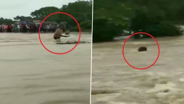 Madhya Pradesh Floods Video: Man Washed Away While Crossing Flooded River in Rajgarh