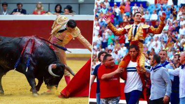 Champion Spanish Bullfighter, Paco Urena Had His Penis Crushed by the Bull at Semana Grande Big Week Fair in Bilbao (Watch Video)