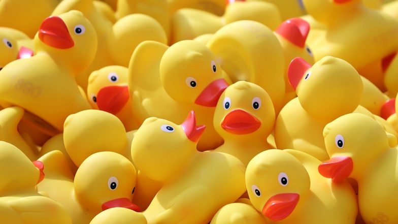 Hungry Bulldog Swallows 32 Rubber Ducks! Viral Video Shows Thailand Vets Removing Toys From Dog’s Stomach
