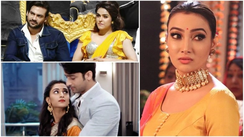 Shaheer Sheikh-Erica Fernandes, Nalini Negi, Madhurima Tuli-Vishal Aditya Singh &ndash; Take a Look at the TV Newsmakers of the Week