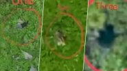 Video of Infiltration Bid Foiled by Indian Army Surfaces on Social Media; Bodies of Dead Pakistani Terrorists Seen in Footage