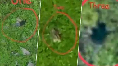 Video of Infiltration Bid Foiled by Indian Army Surfaces on Social Media; Bodies of Dead Pakistani Terrorists Seen in Footage