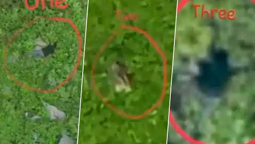 Video of Infiltration Bid Foiled by Indian Army Surfaces on Social ...