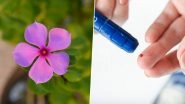 Home Remedy Of The Week: Periwinkle or Sadabahar Leaves for Diabetes; How This Herbal Hack Can Reduce Blood Sugar