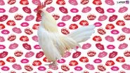 Do Not Kiss Chickens! CDC Warns Against Salmonella Infection Caused By Kissing, Cuddling Hens
