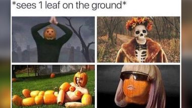 Fall 2019 Memes and Jokes: Here Are the Funniest Autumnal Equinox Memes That Will Make You LOL While You Sip on Your Pumpkin Spice Latte