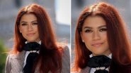 Is Euphoria Fame Zendaya Dating Her Co-star Jacob Elordi?