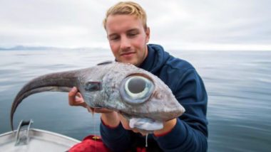 Alien-Like Fish Caught off Norwegian Island! Fisherman Finds Rare Catch With Gigantic Eyes (View Pics)