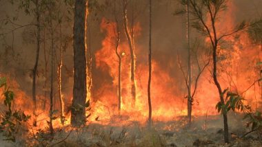 Australia Bushfires: Seven Dead, Over 200 Homes Destroyed