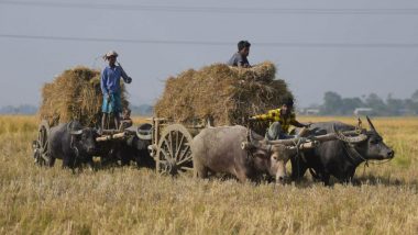 Bullock Cart Owner Fined Rs 1000 Under Motor Vehicles Act in Uttarakhand, Challan Cancelled As Cops Can't Penalise Bullock Cart As Per Rule