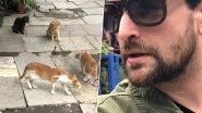 Four Cats Attack a Cobra Snake! Viral Video Shared by Neil Nitin Mukesh Leaves The Internet Shocked