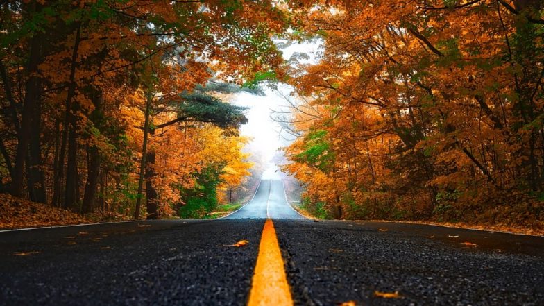 Autumn 2019: Best Places to See Fall Season From Around the World!