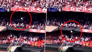 Fan Falls From Stands Onto 13-Year-Old Girl During Football Match in Brazil, Horrifying Incident Caught on Camera (Watch Video)