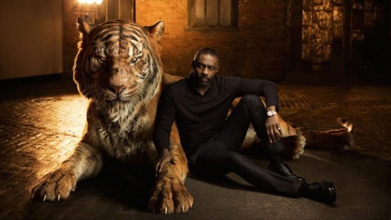 Happy Birthday Idris Elba! From Directing A Music Video For Mumford And Sons To Playing Beyonc&eacute;'s Love Interest In Obsessed, Here Are Fun Facts About Him