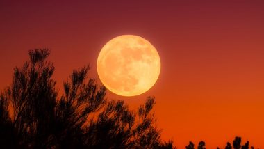 Harvest Moon 2019 Date: Know All About September's Full Moon Which Will Occur on Friday the 13th