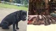 Indian Army's Tracker Dog 'Jaari' Helps Recover Huge Cache of Arms in Assam, See Pics