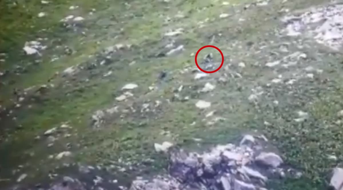 Video Emerges of Infiltration Bid by Pakistani Terrorists in Kupwara Foiled by Indian Army in July Video Emerges of Infiltration Bid by Pakistani Terrorists in Kupwara Foiled by Indian Army in July