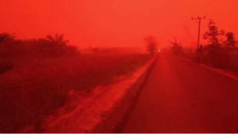 Indonesian Forest Fires Putting 10 Million Children at Risk: UN