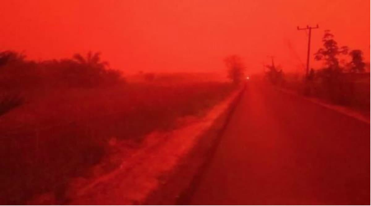 Indonesia Hit With $5.2 Billion in Forest-Fire Losses, Says World Bank Indonesia Hit With $5.2 Billion in Forest-Fire Losses, Says World Bank