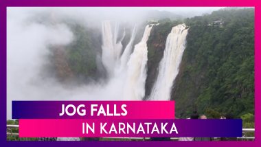 Jog Falls: Tourists Throng To Watch The Spectacular View In Karnataka’s Sagar