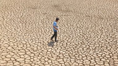 Centre Declares 10 Jharkhand Districts 'Drought' Affected