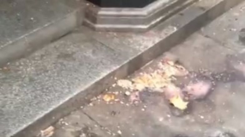 British Columnist Katie Hopkins Slams London Mayor Sadiq Khan for Filthy Mess Outside Indian Embassy by Pakistani Protesters, Shares Video