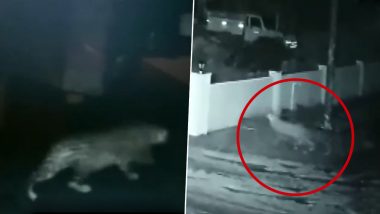 Leopard Enters House And Runs Away With Dog in Mouth in Karnataka's Shivamogga, Watch Chilling Video