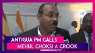 Antigua PM Gaston Browne Calls Mehul Choksi A Crook, Says Antigua Does Not Want Him