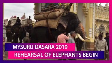 Mysuru Dasara 2019: Rehearsal Of Elephants For The Parade Begins