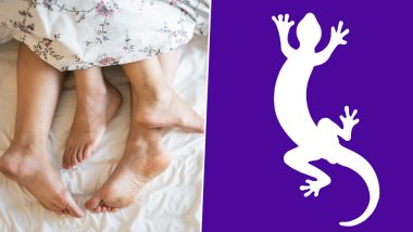 Malaysian Man Caught Sleeping With Two Women Says, He Was Scared of Lizard in His Room