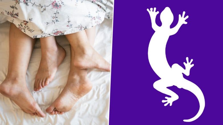 Malaysian Man Caught Sleeping With Two Women Says, He Was Scared of Lizard in His Room Malaysian Man Caught Sleeping With Two Women Says, He Was Scared of Lizard in His Room