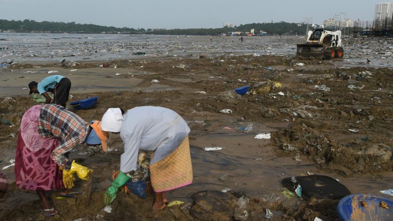 Mumbai to Be Hit by Global Warming: City Fears for Homes and Lives Amid Rising Seas, Shrinking Mangroves