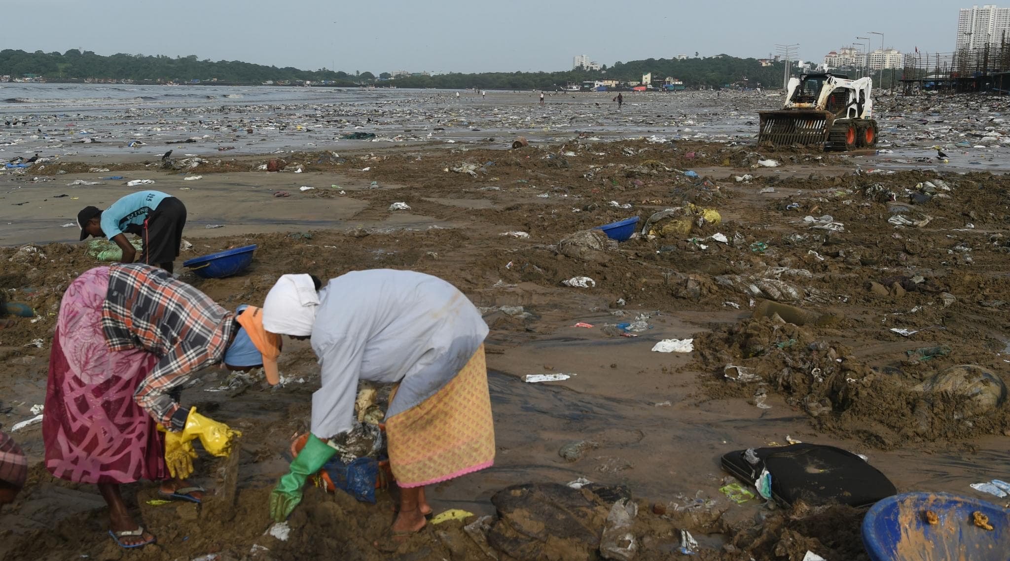 Mumbai to Be Hit by Global Warming: City Fears for Homes and Lives Amid Rising Seas, Shrinking Mangroves Mumbai to Be Hit by Global Warming: City Fears for Homes and Lives Amid Rising Seas, Shrinking Mangroves