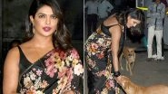 Priyanka Chopra Looks Stunning in Gorgeous Black Saree for The Sky Is Pink Promotions But it is Her Petting a Stray Dog That Truly Wins Our Hearts - See Pictures