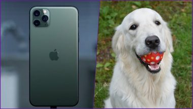 iPhone 11's 'Pet Portrait' Feature Will Let You Take Stunning Pics of Your Pets