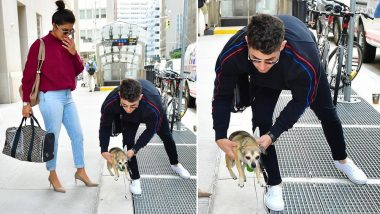 Priyanka Chopra and Nick Jonas Stroll on NYC Streets With Their Pet Dog Diana and The Pics Are Adorable!