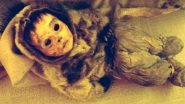 Mummy Family of 8 Inuit From 500 Years Ago Found Well-Preserved In Greenland Qilakitsoq Settlement (Watch Video)