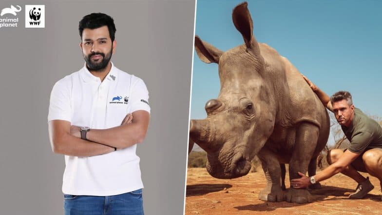 Rohit Sharma and Kevin Pietersen Bat for Rhinoceros Conservation on World Rhino Day 2019 (See Instagram Posts) Rohit Sharma and Kevin Pietersen Bat for Rhinoceros Conservation on World Rhino Day 2019 (See Instagram Posts)