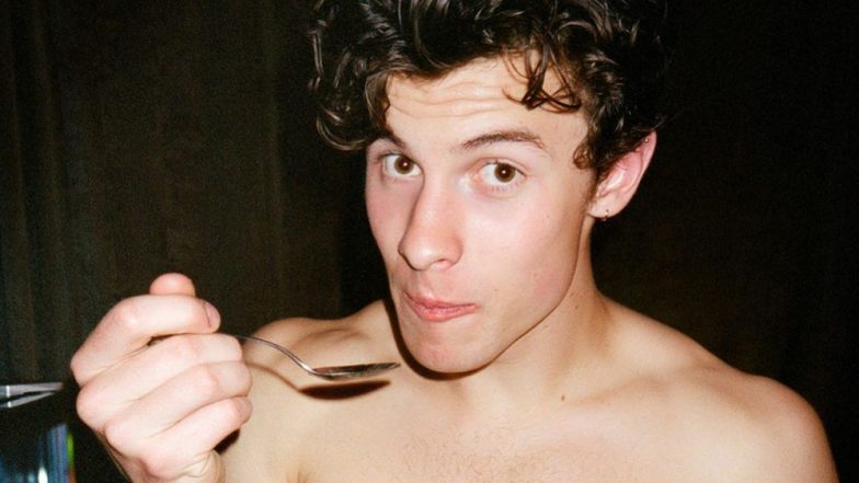 Shawn Mendes Comes Out With His Capsule Collection With Roots! The Cosy Sweatshirts Look Like a Hug From the Singer
