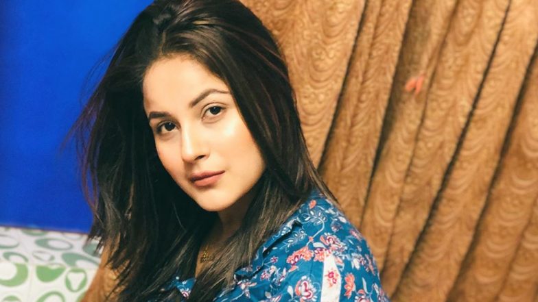 Shehnaaz Gill in Bigg Boss 13: Career, Love Story, Controversies – Check Profile of BB13 Contestant on Salman Khan’s Reality TV Show