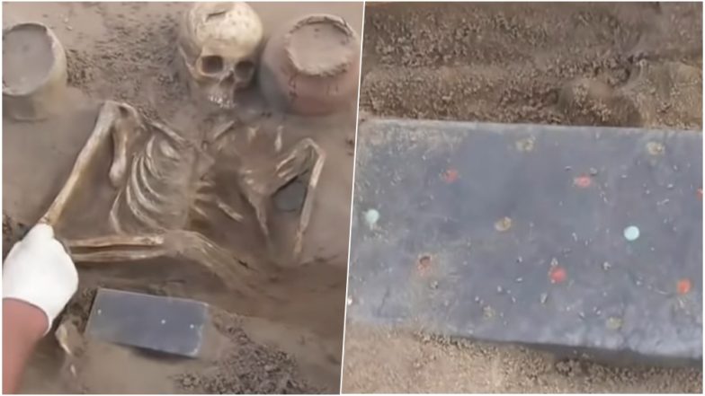 2000-Year-Old iPhone? Archaeologists Find Woman's Skeleton With Apple Smartphone-like Object in Russian Excavation (Watch Video)
