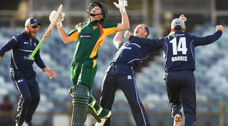 Tasmania Unbelievable Collapse Hands Victoria a Historic One-Run Victory 