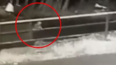 Kerala: Toddler Falls Out Of Moving Jeep In Idukki As Parents Sleep, CCTV Footage Captures Incident