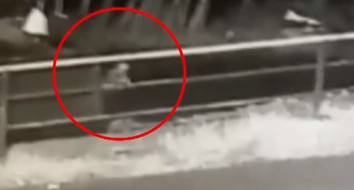 Kerala: Toddler Falls Out Of Moving Jeep In Idukki As Parents Sleep, CCTV Footage Captures Incident