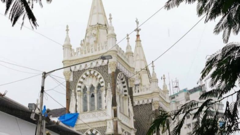 IVF And Surrogacy Methods to Give Birth Are 'Gravely Immoral', Says Mt Mary Basilica Church in Mumbai IVF And Surrogacy Methods to Give Birth Are 'Gravely Immoral', Says Mt Mary Basilica Church in Mumbai