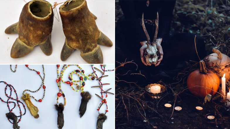 Colombian Authorities Seize 1,400 Animal Parts Sold For Witchcraft Rituals