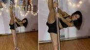 Nach Baliye 9 Contestant Anita Hassanandani Does Pole Dance Like a Pro in This Latest Instagram Post (Watch Video)