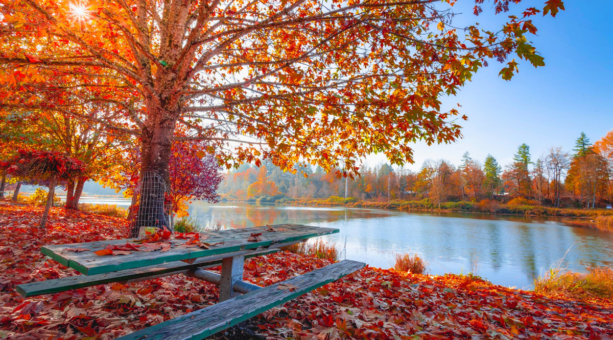 First Day Of Fall 2019 On September What Is Fall Equinox What Happens 
